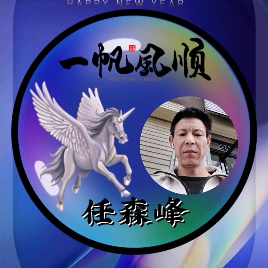 只是过客任民币