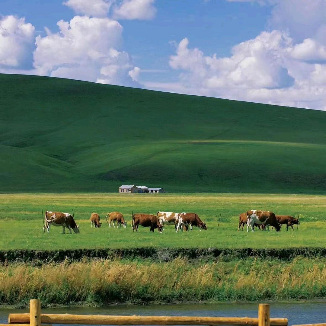 张光臣爱相随>麻醉的回忆