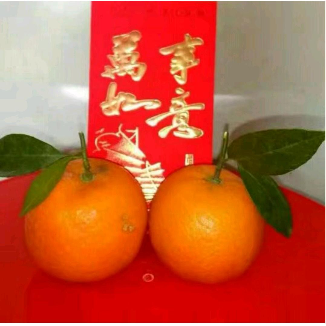 发发龙大哥