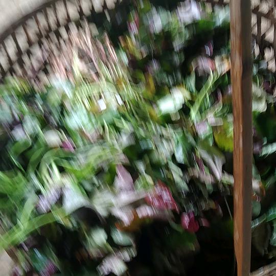 众里寻他千百度