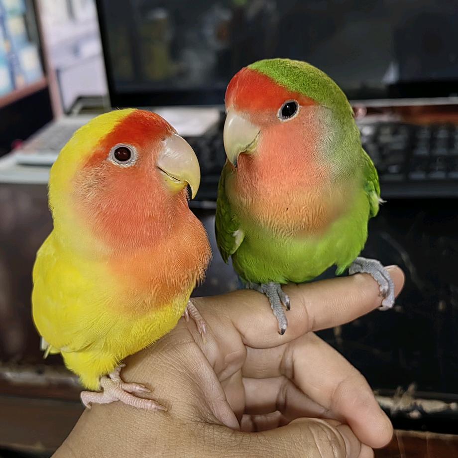 ☞钱程♥似锦☜