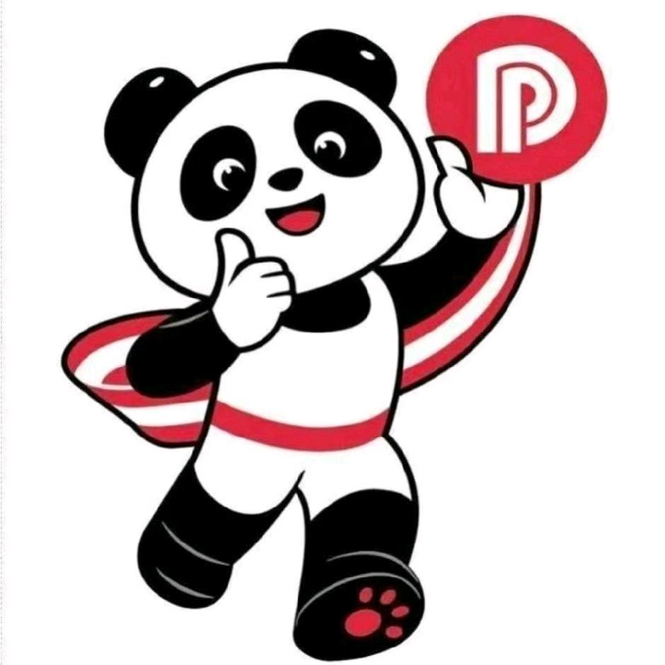 盼盼安全门柳林店