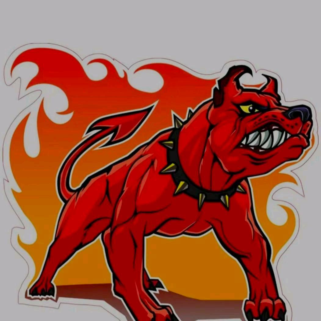 亿丰犬业（助理）