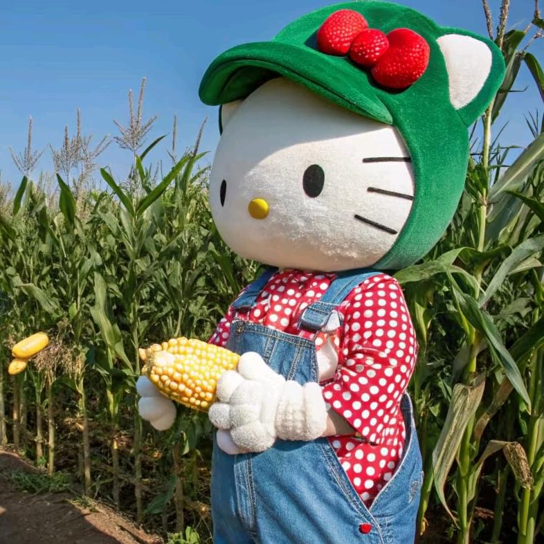 五个快乐助农娃