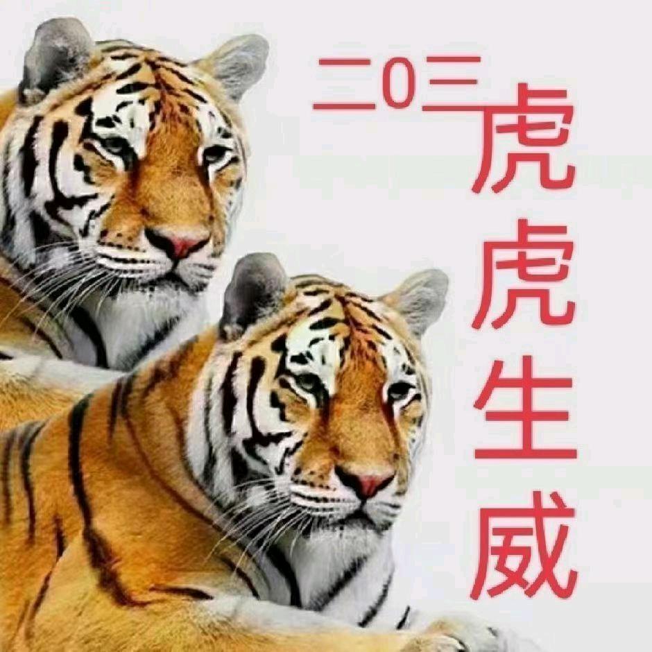 二O三