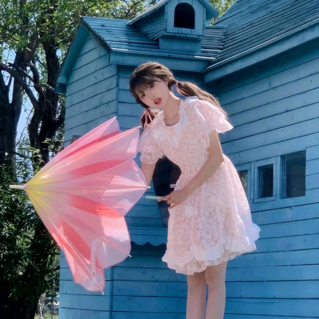 阳光下的向日葵