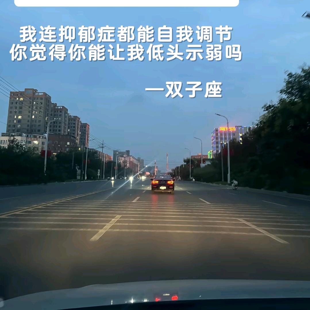 蜀盗柒