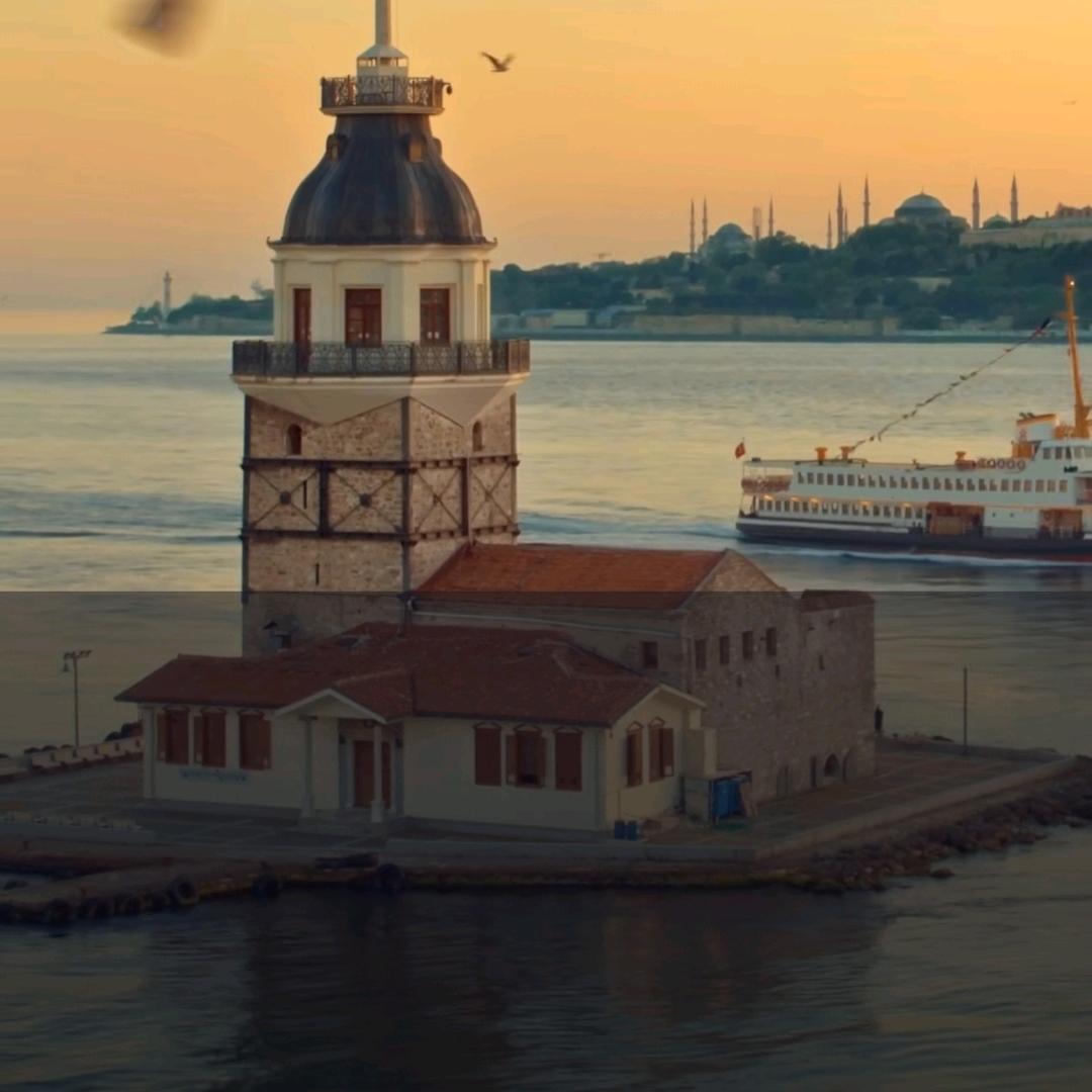 没有只升不降的波浪