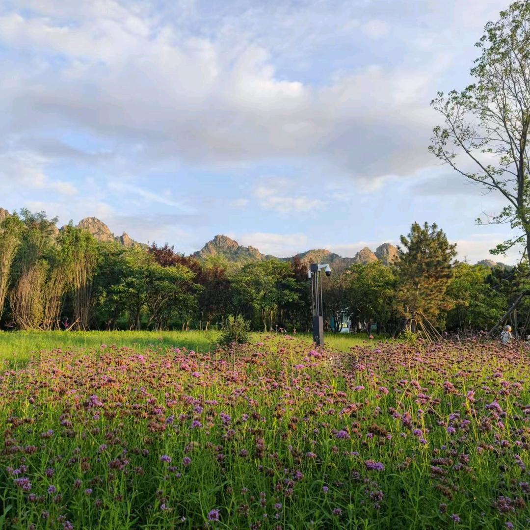 珍惜爱我的人。