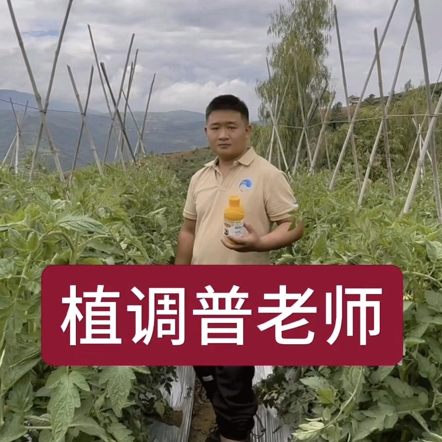 蓝鲸植调  普老师