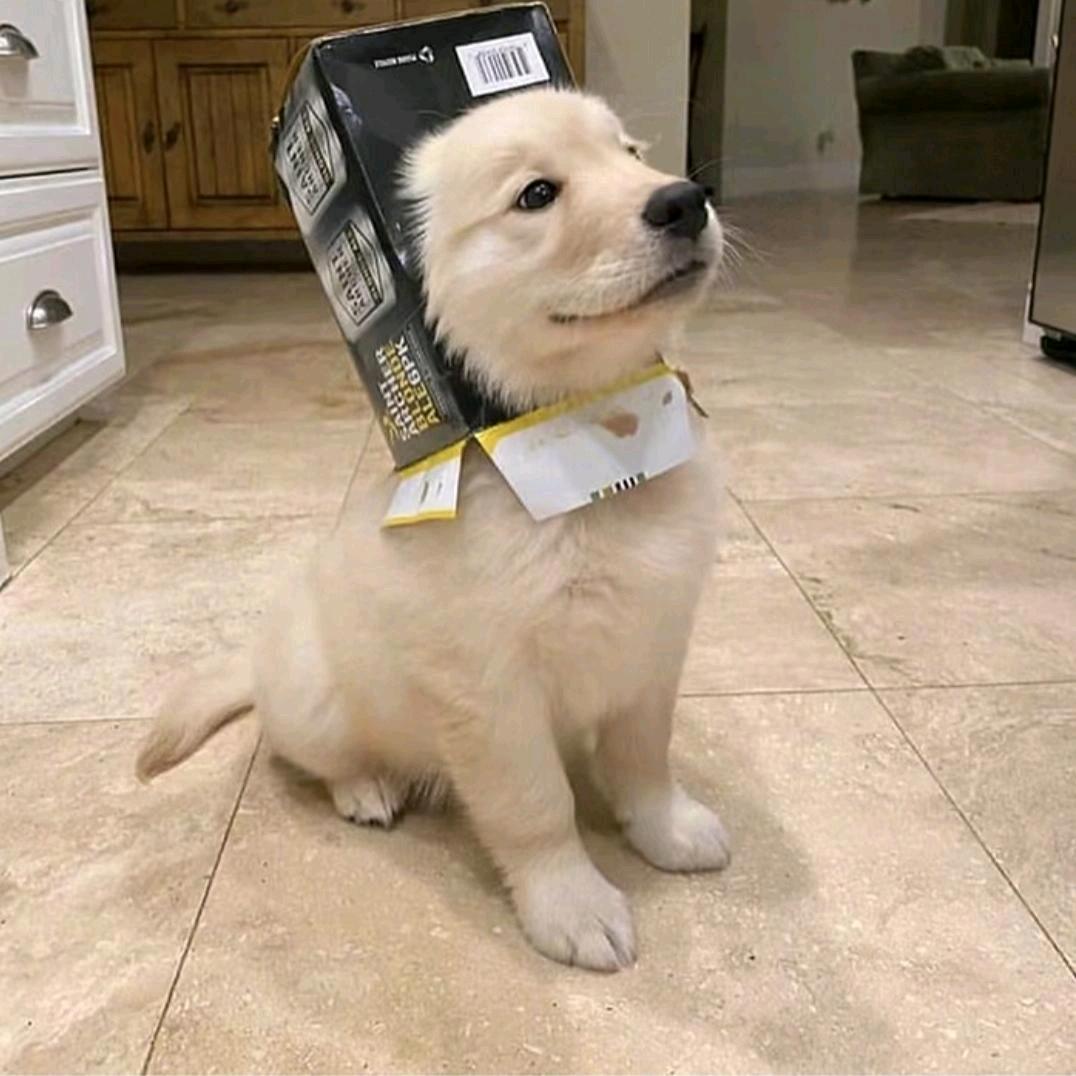 第七章