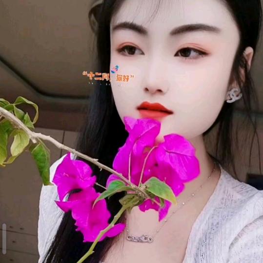 张婉莹
