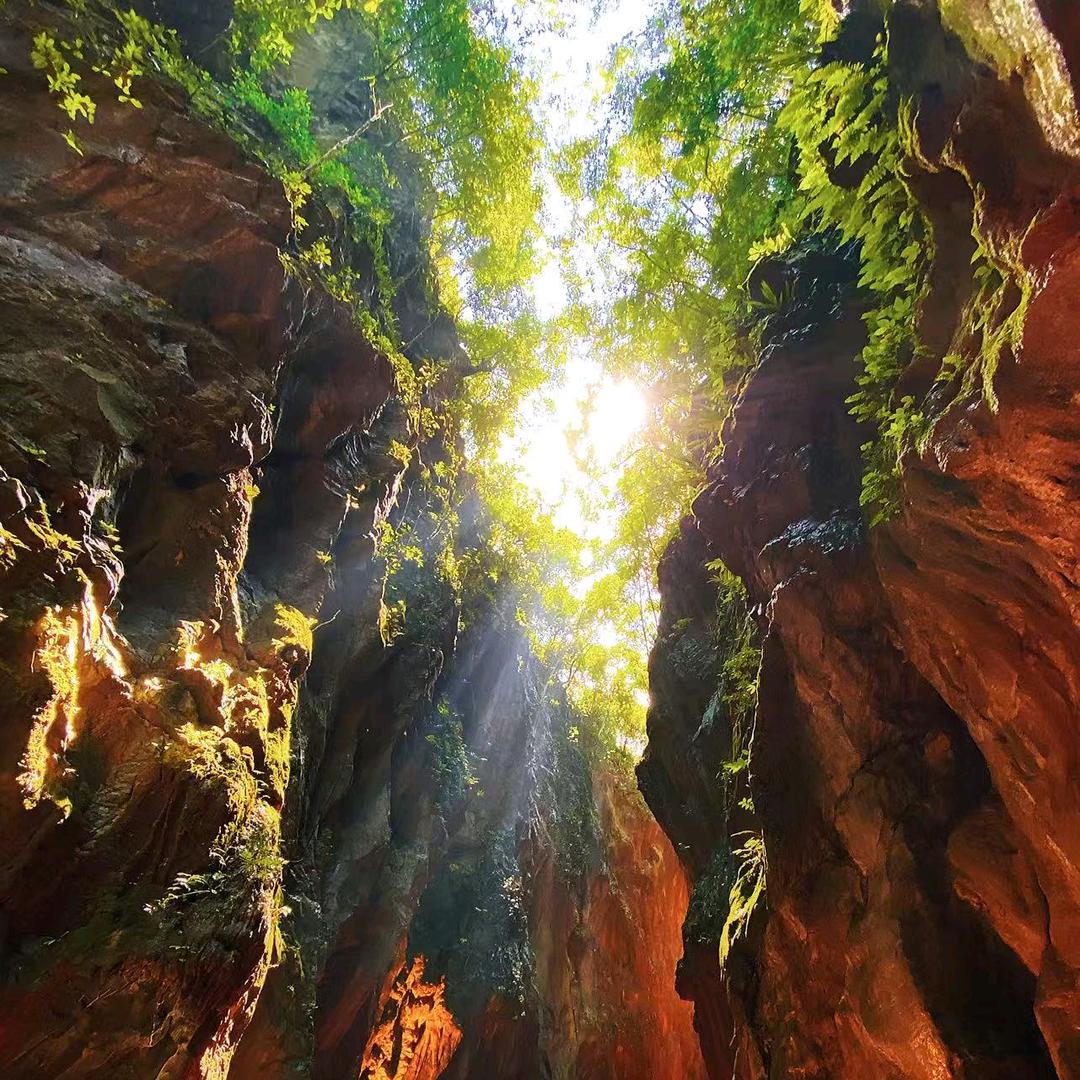 张家界东线旅游🌈特惠活动