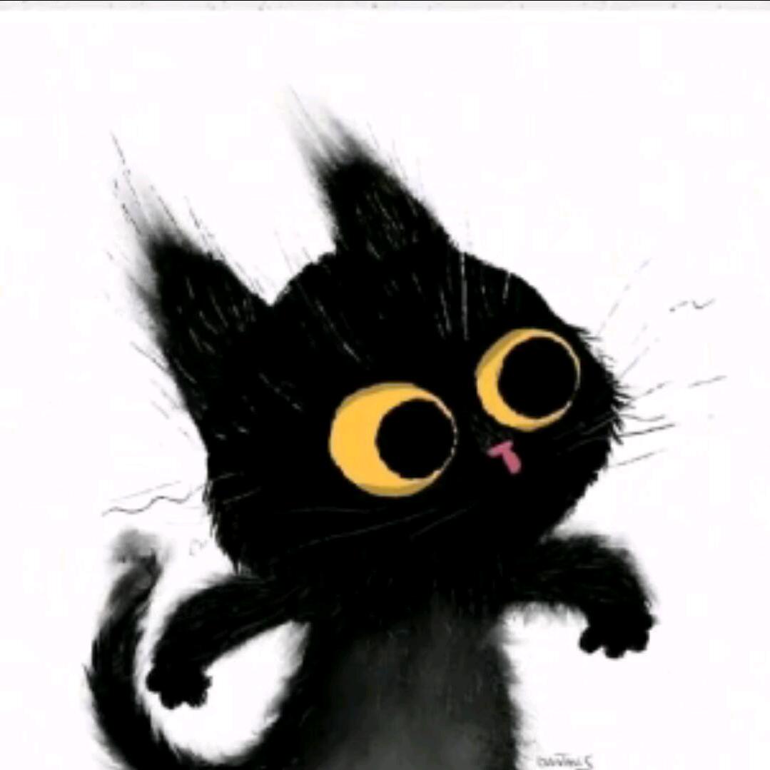 没办法人家就是好