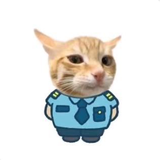 16544