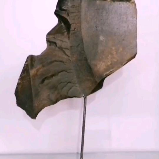 万事随缘