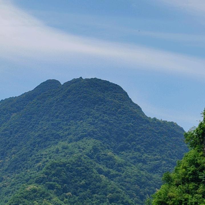 苏月月好物