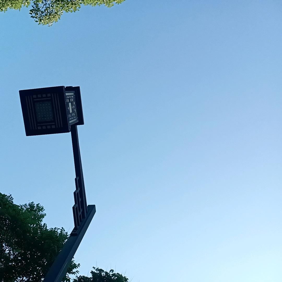@李子熟了🇨🇳