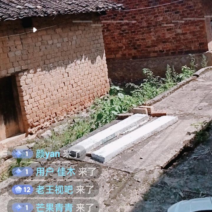 桥桥哥