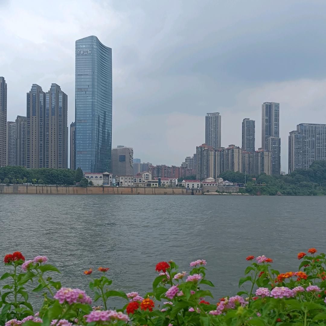 思维💪这个世界让你无法抗拒