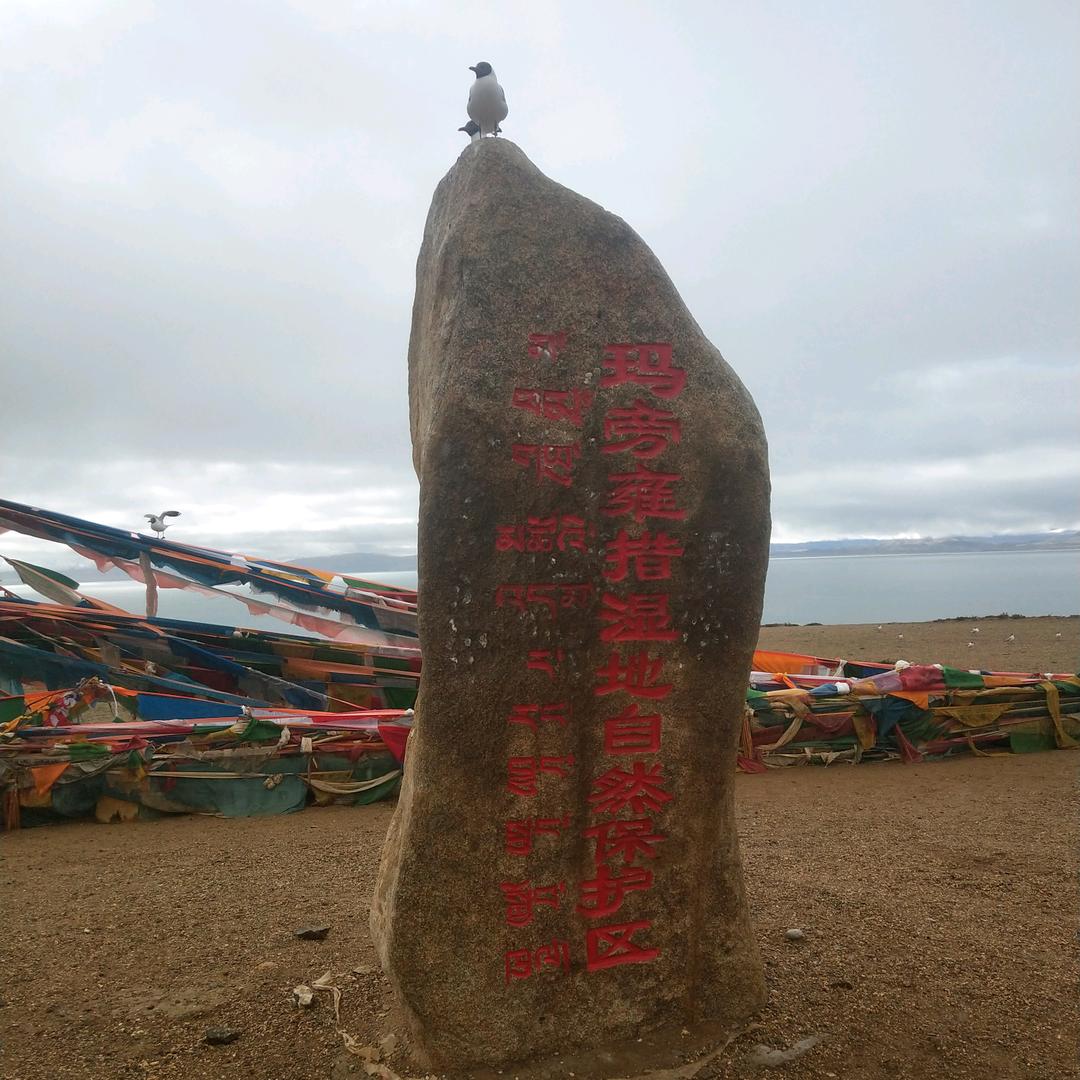 🇬🇧🇬🇧🇬🇧