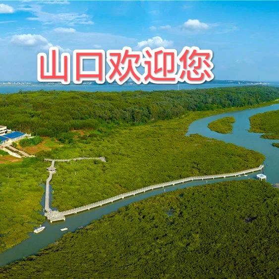 抖音。。山口海哥！