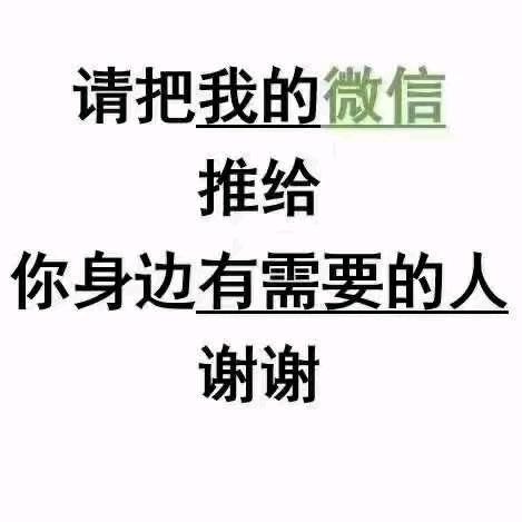 山东典哥:我的目标下一站光头司仪