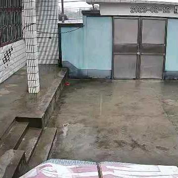 春风得意。