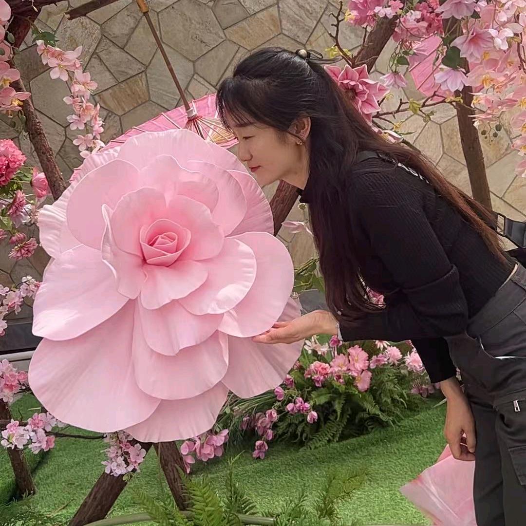 好运莲莲