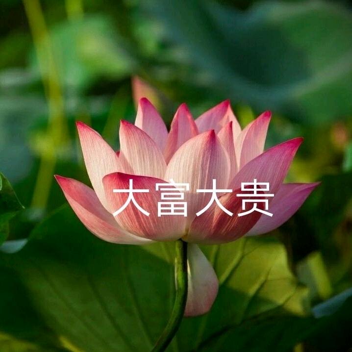 幸福老太