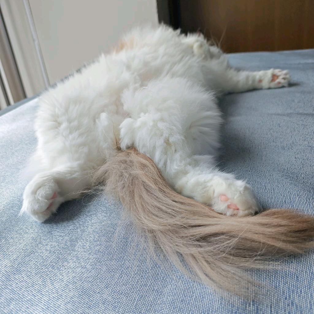 大脑缺氧中～