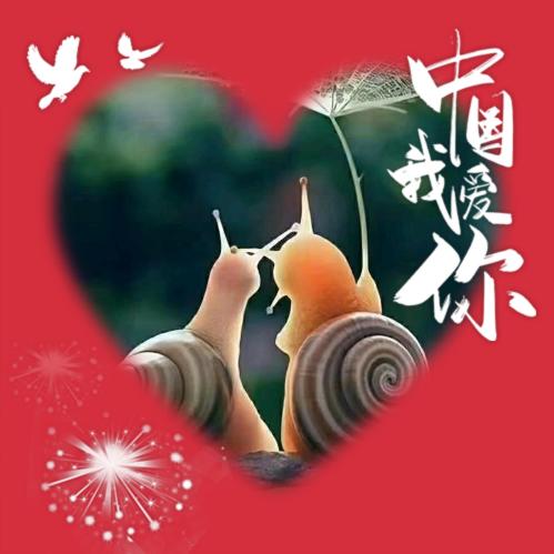 00是个名字