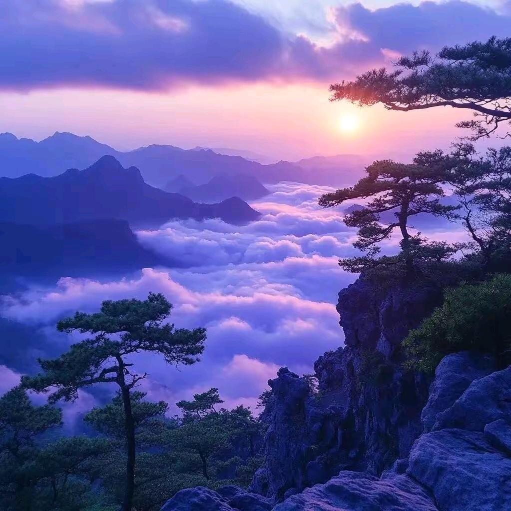 祉猷并茂