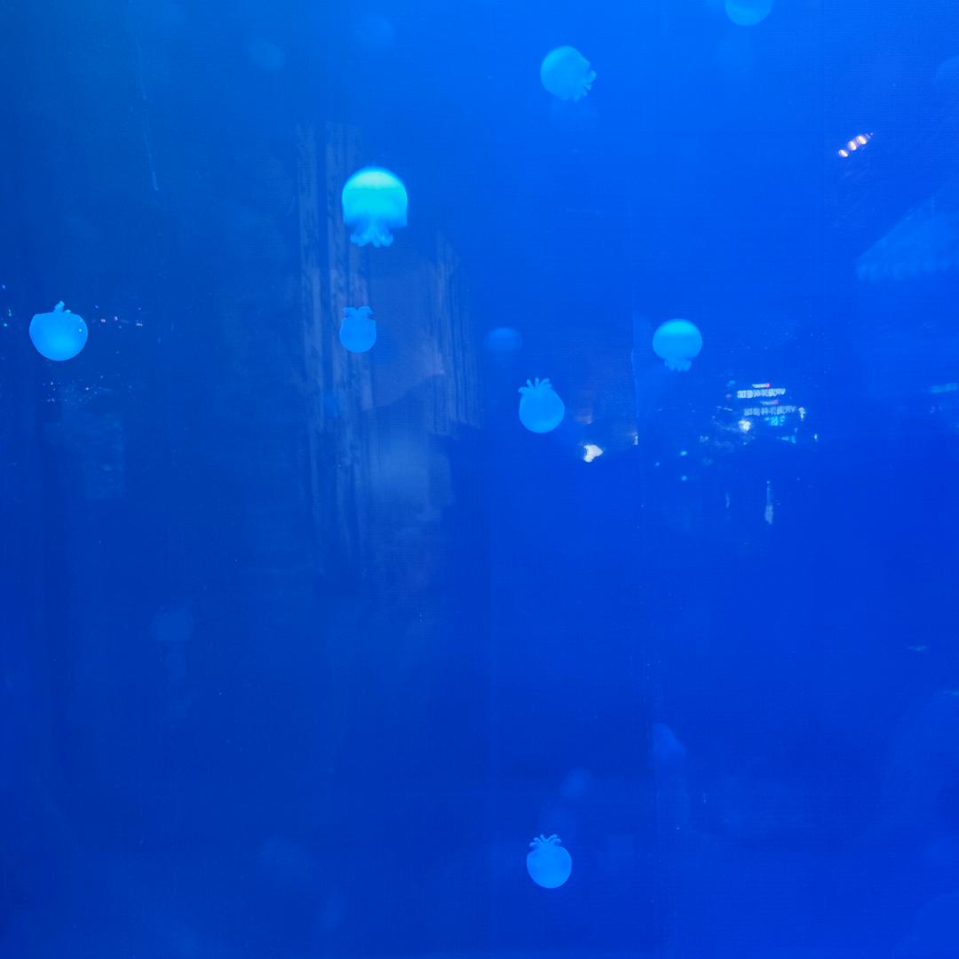 北单通宵