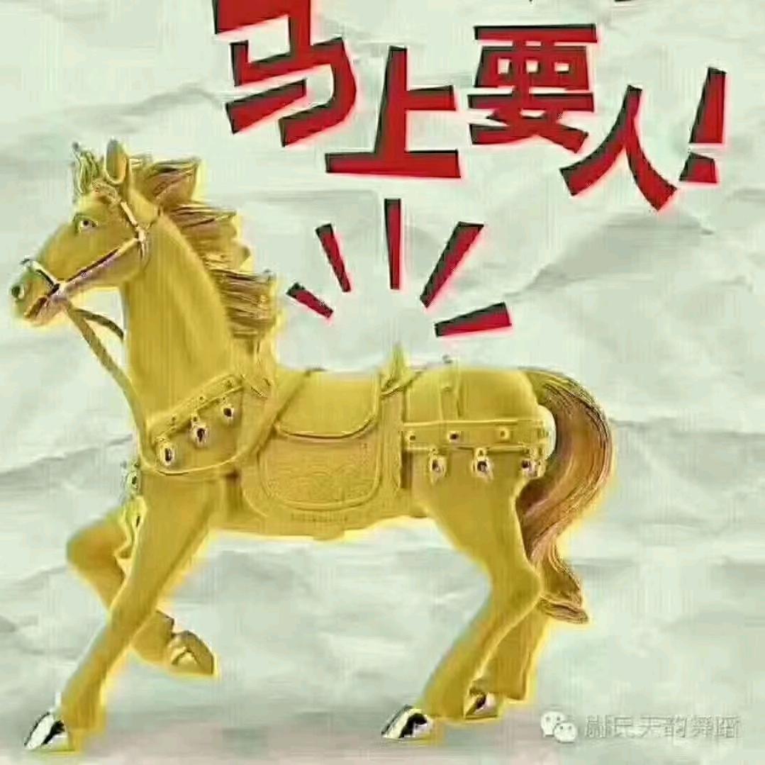 郑姐
