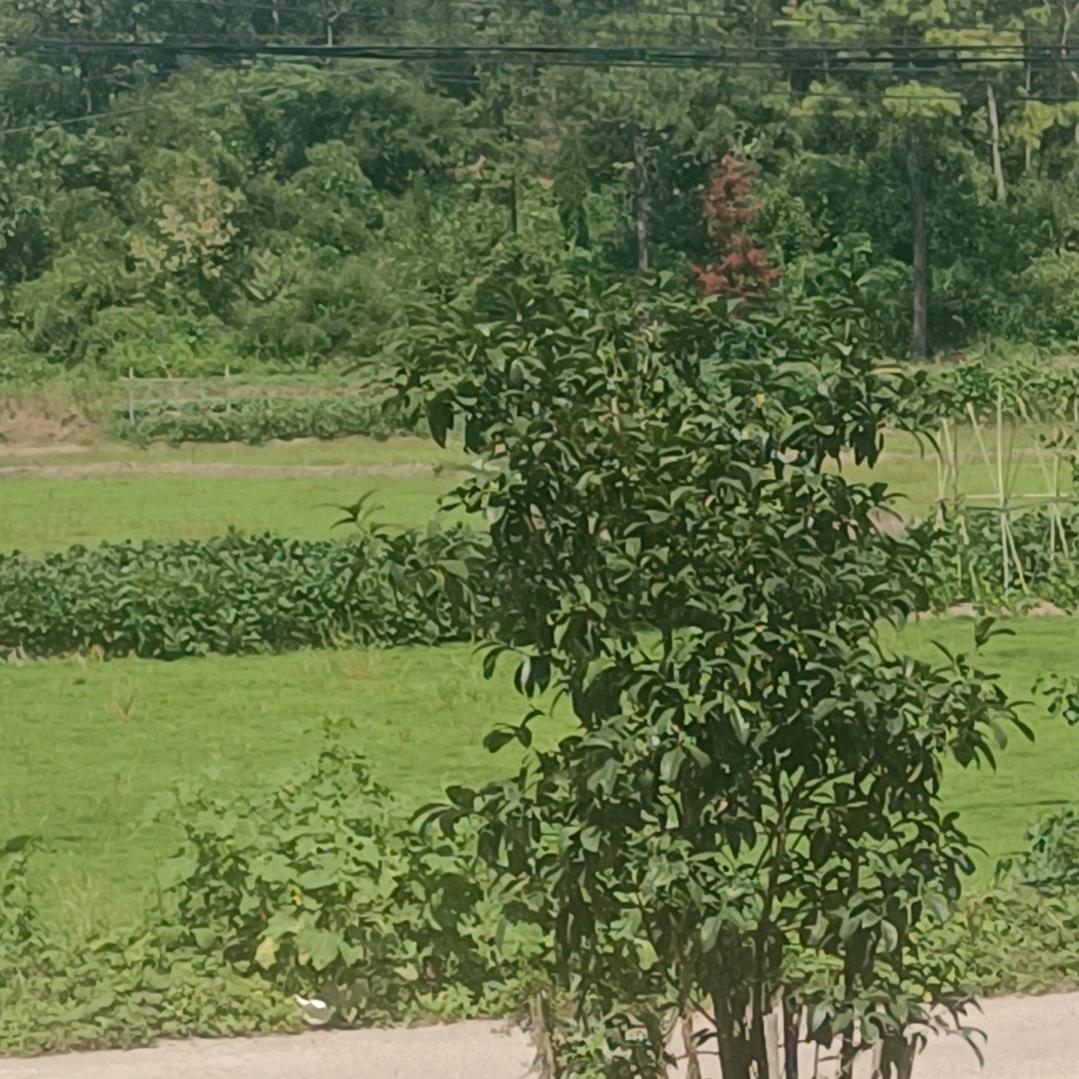 美好一天，（拒私聊）