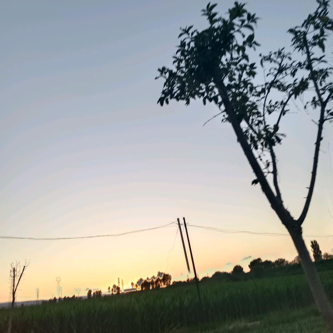 、