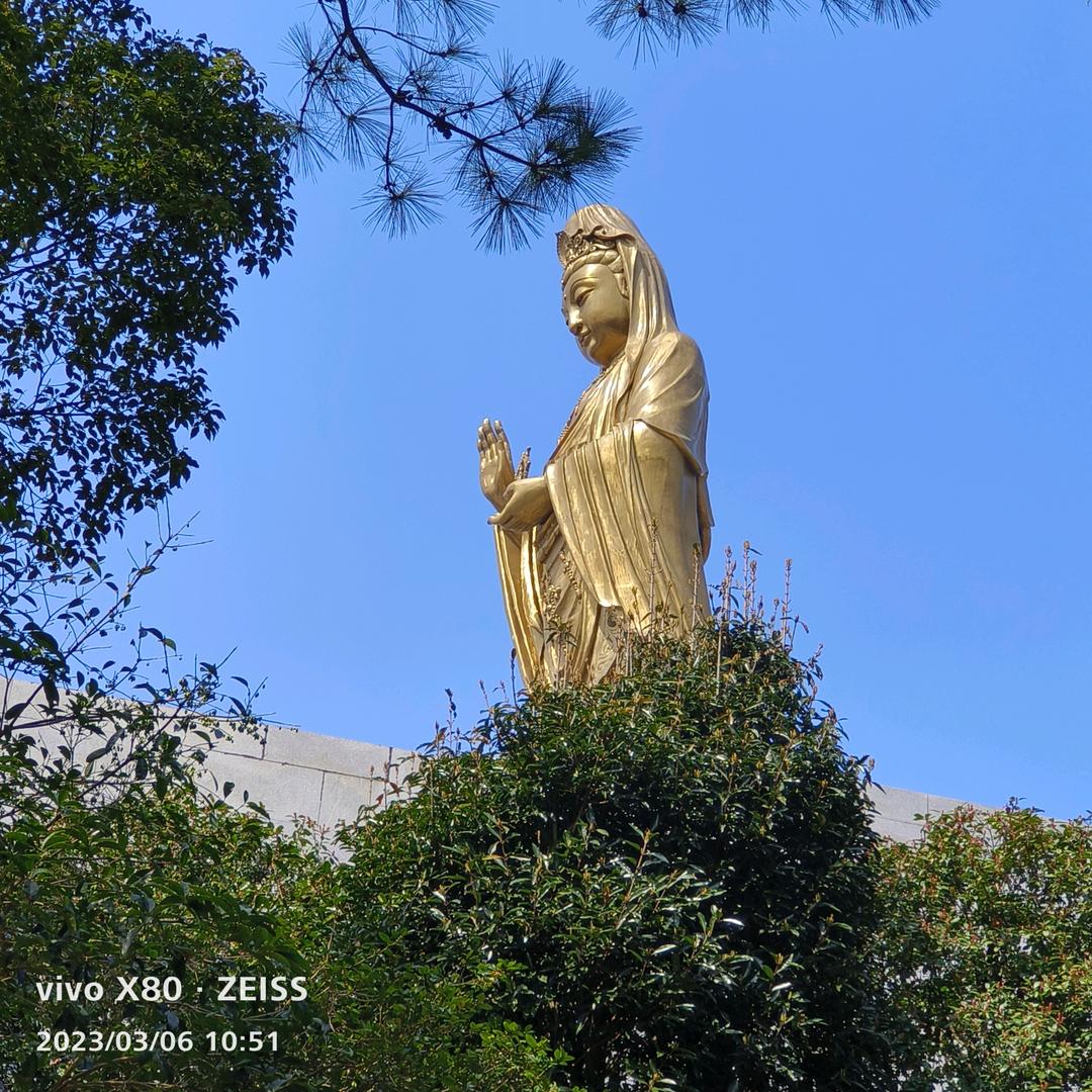 遂平县大伟水暖（真真）