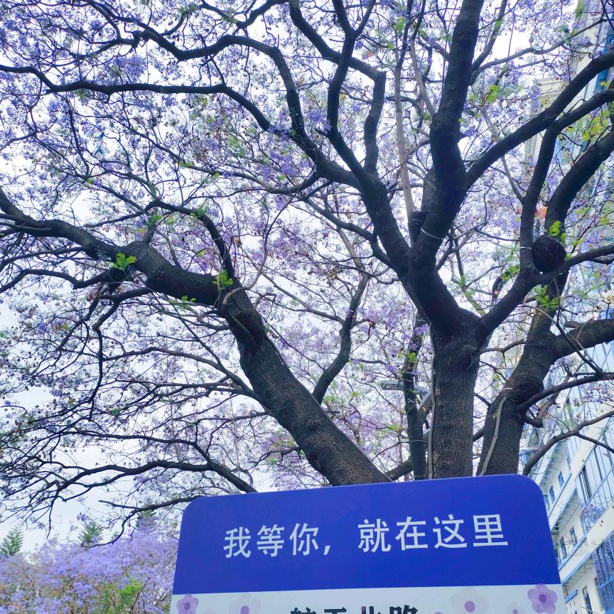 东风89714