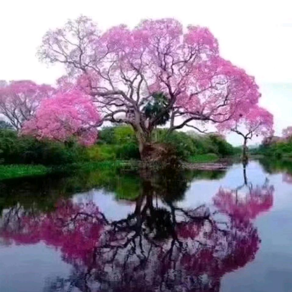 一生平安@