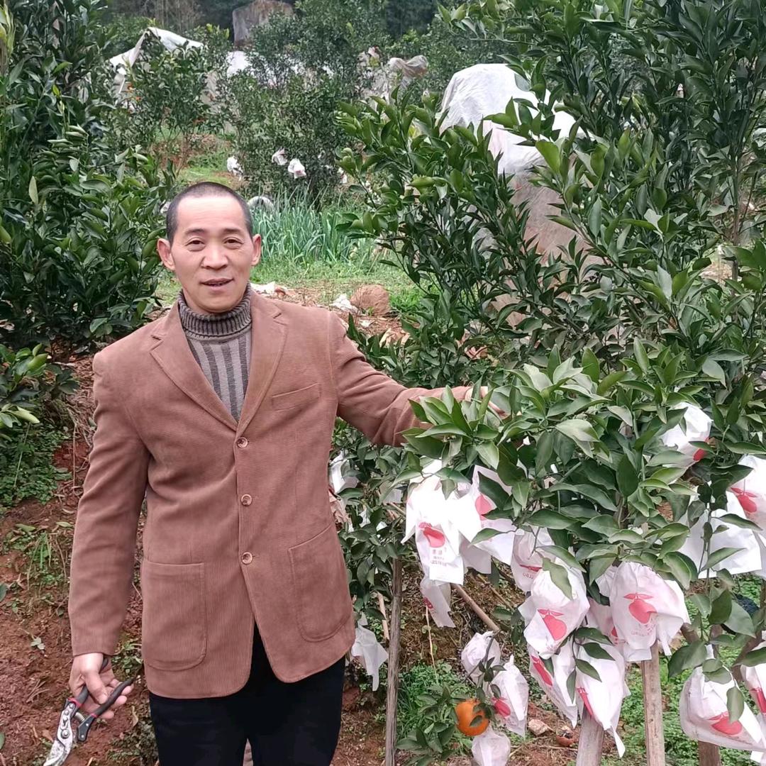 不如放手！一切随缘！