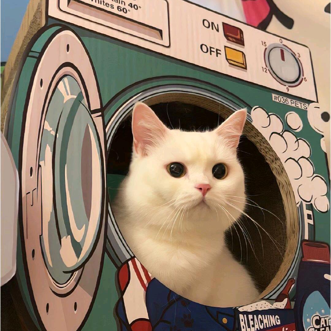 迷失