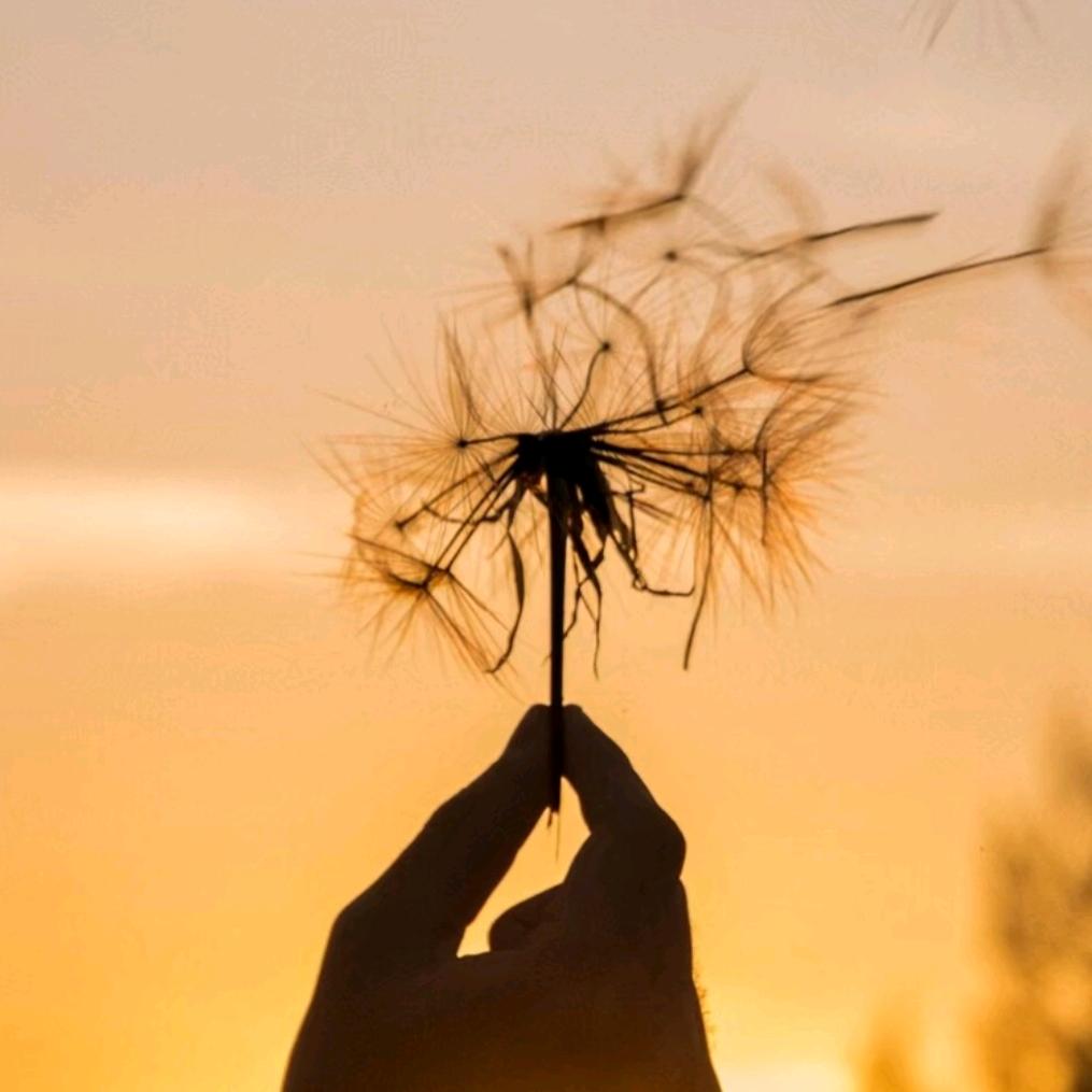 🎉风生水起🎊