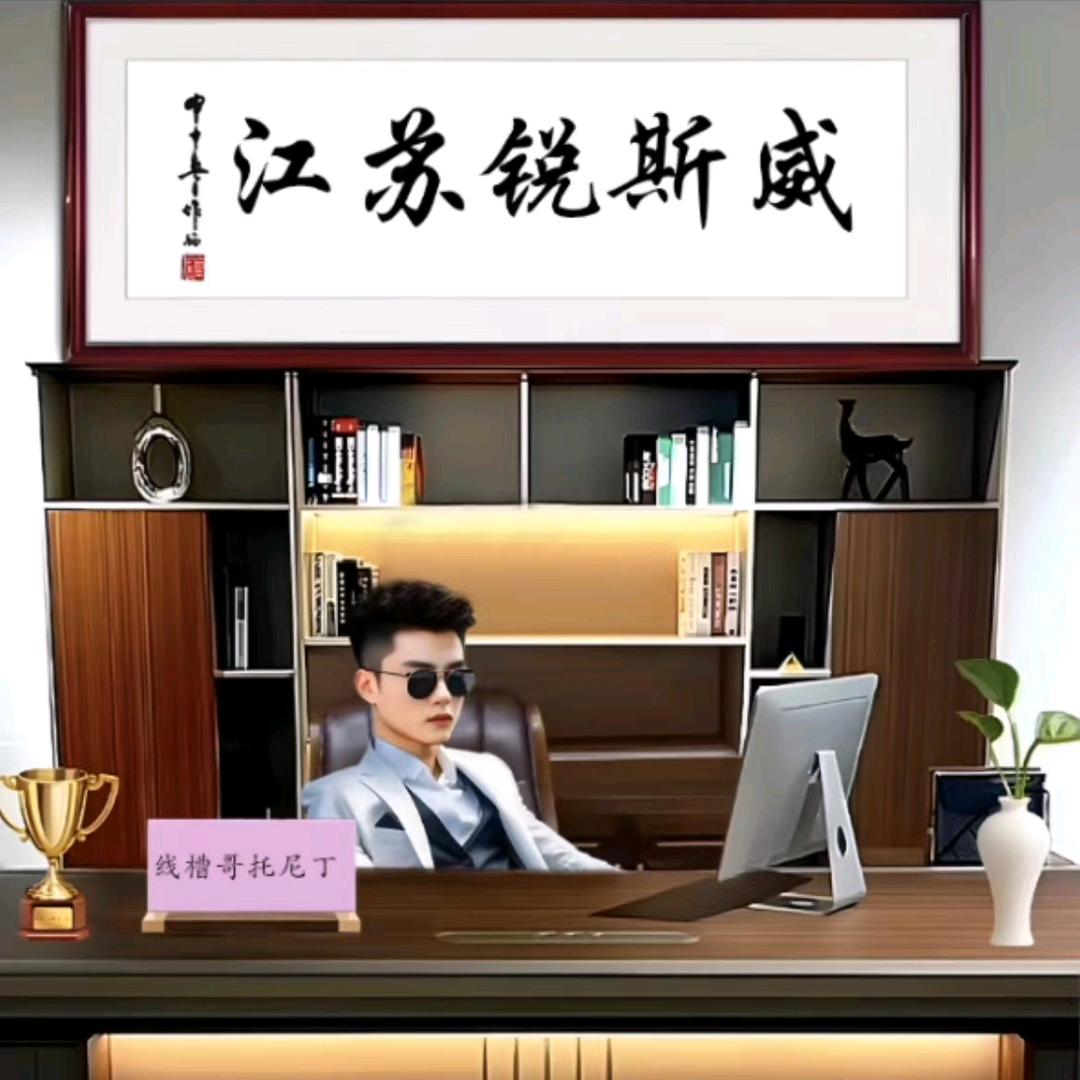 锐斯威线槽
