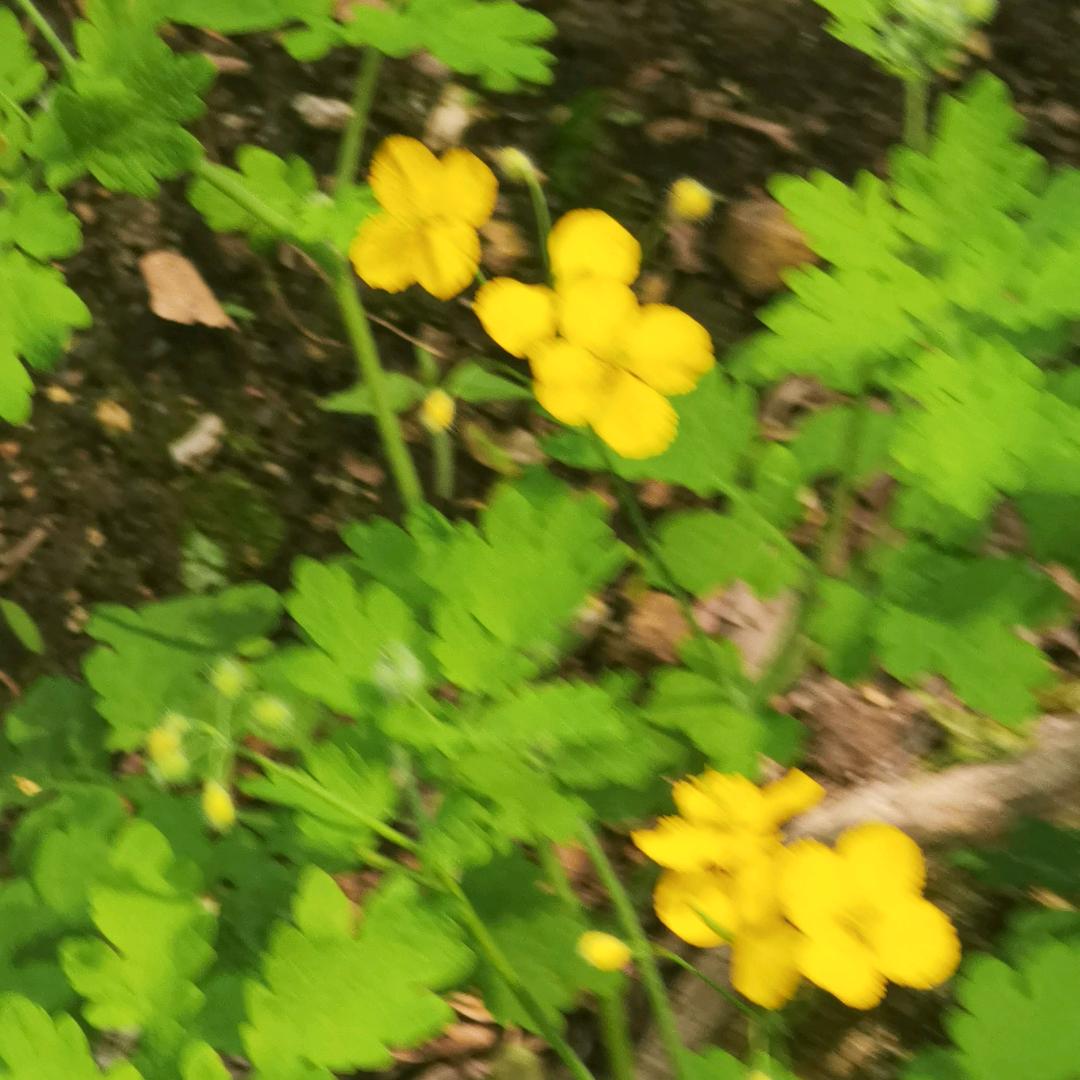 榜迈臻选希美饰品专卖店