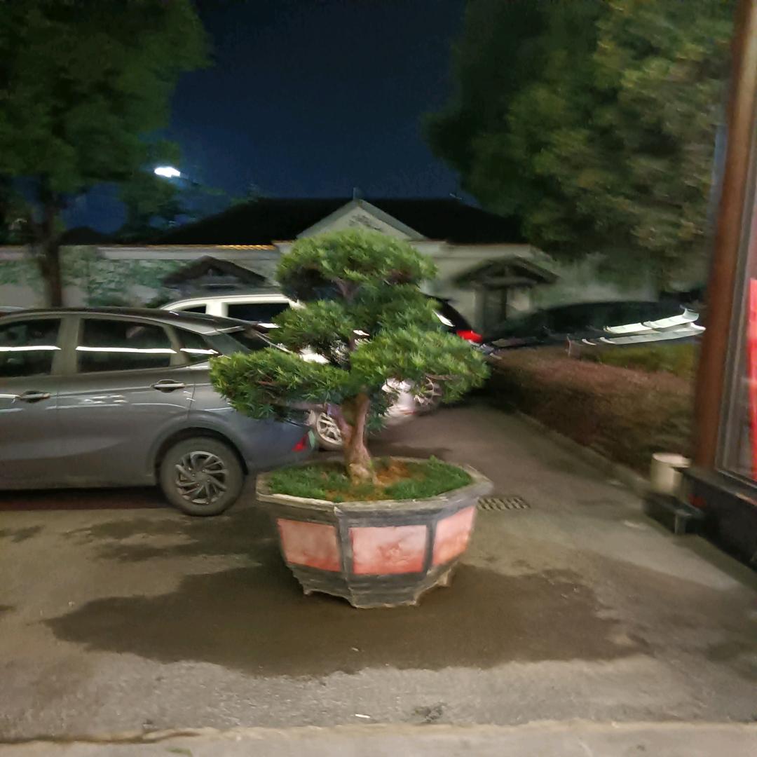 陈姐