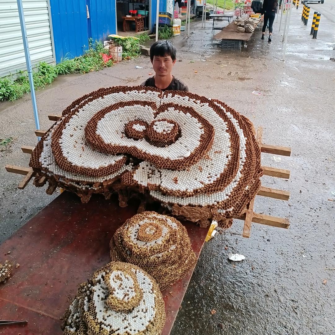 蜂儿换茶叶