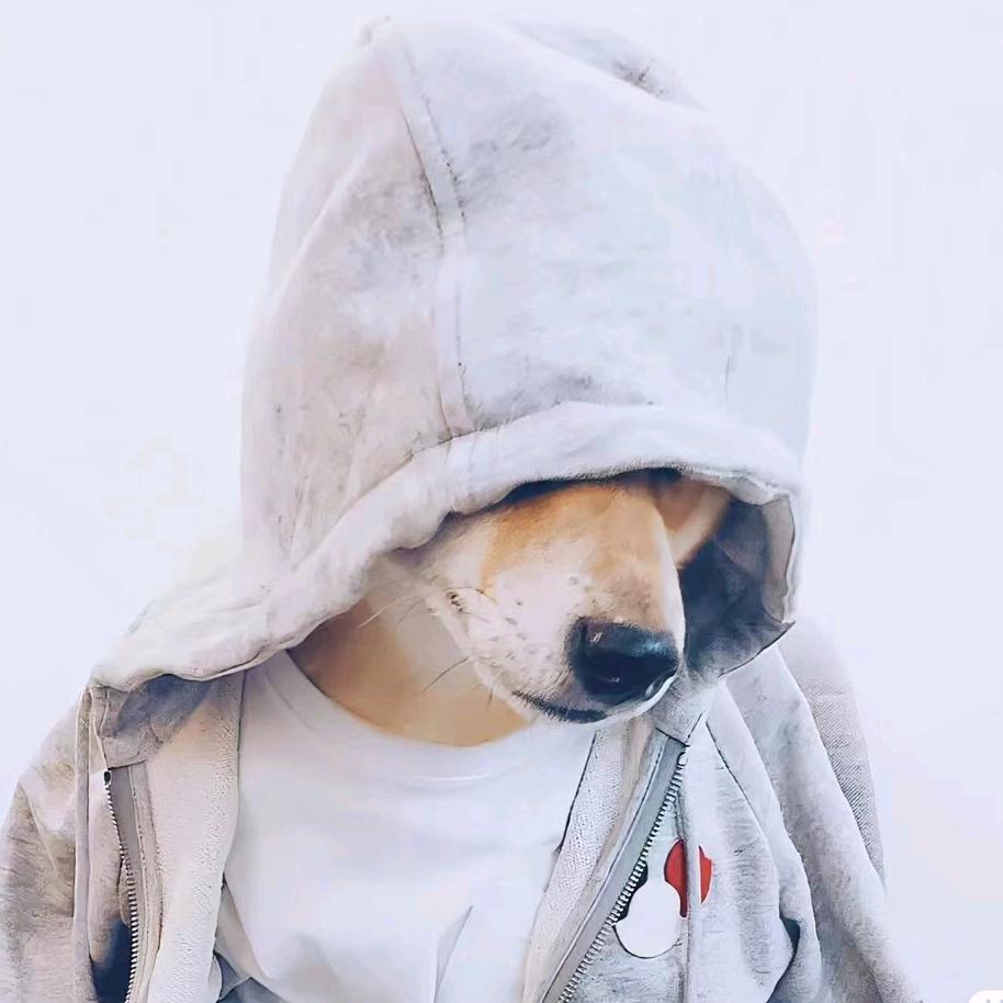 爱拿耗子的狗
