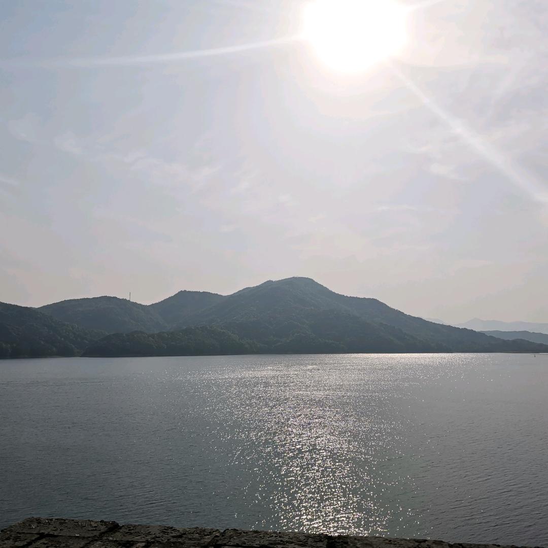 柳叶刀（香满园土菜馆）