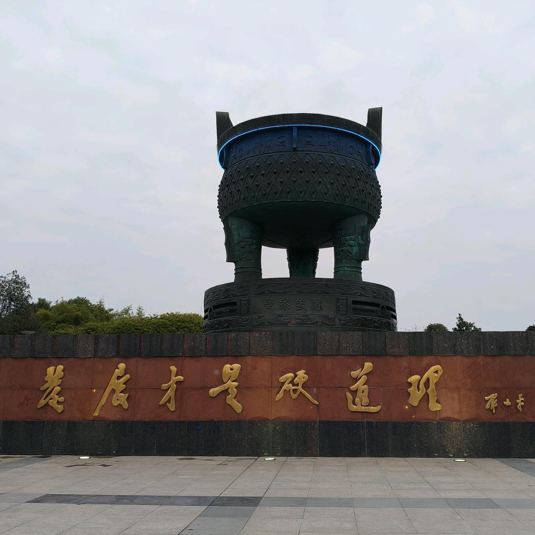 wang迎春